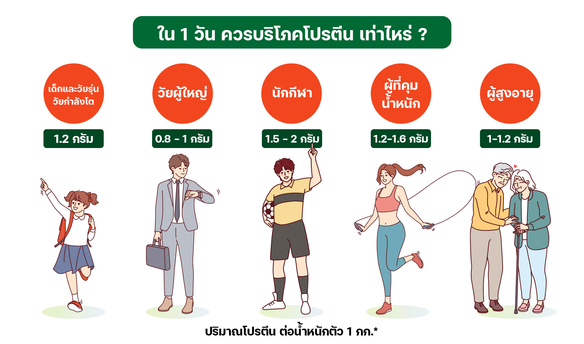 Landing-Website-หนึ่งวันควรทานโปรตีนเท่าไหร่โปรตีนพืช