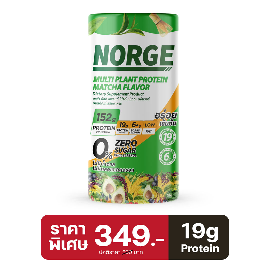 Salepage-norge-wheyprotein-matcha