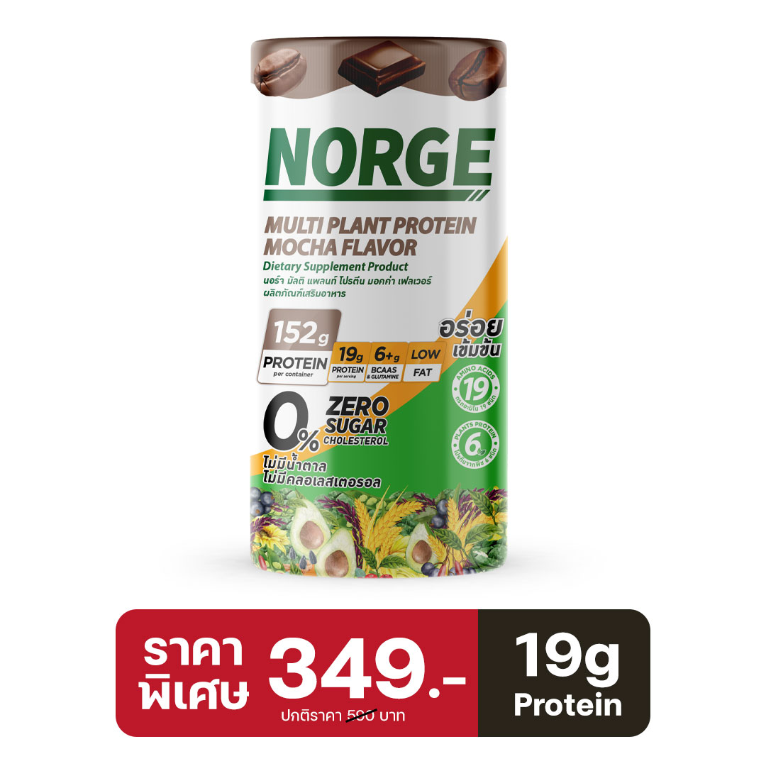 Salepage-norge-wheyprotein-mocha